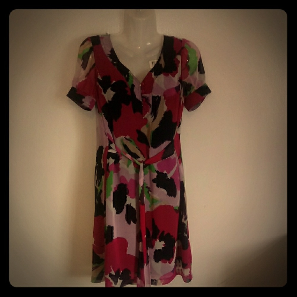 The Limited Dress
